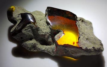 Mexicaanse amberfossiel Chiapas!! AAA- 42 g
