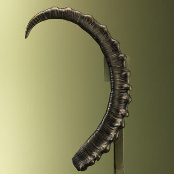 Ibex Hoorn Replica Taxidermie Opgezette Dieren By Max, Verzamelen, Ophalen of Verzenden, Nieuw, Wild dier, Opgezet dier