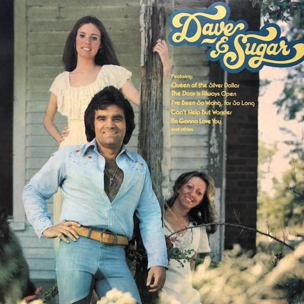 Dave &amp; Sugar - Dave &amp; Sugar, Cd's en Dvd's, Vinyl | Pop, Gebruikt, Verzenden