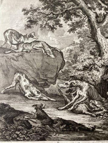 Johann Elias Ridinger (1698-1767) - Pointer dogs fight over