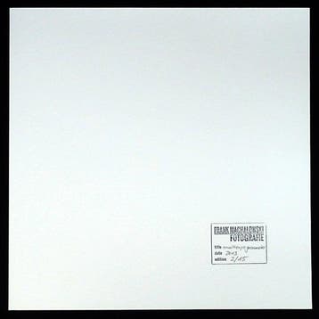 Frank Machalowski - multiexpo gasometer
