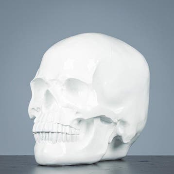Figure - Decoratieve grote witte schedel - polystone