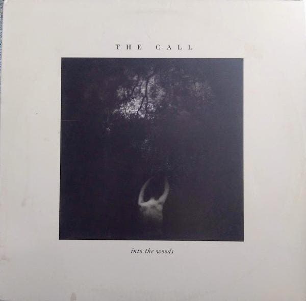 The Call - Into The Woods, Cd's en Dvd's, Vinyl | Pop, Gebruikt, Verzenden