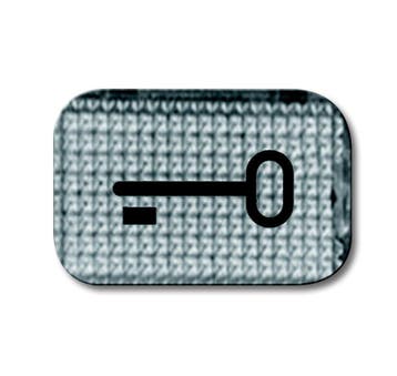 ABB Busch-Jaeger 2145 TR Key Symbol Transparent Lens -, Verzenden