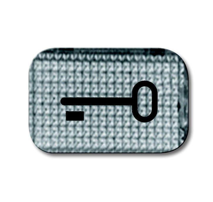 ABB Busch-Jaeger 2145 TR Key Symbol Transparent Lens -, Bricolage & Construction, Électricité & Câbles, Envoi