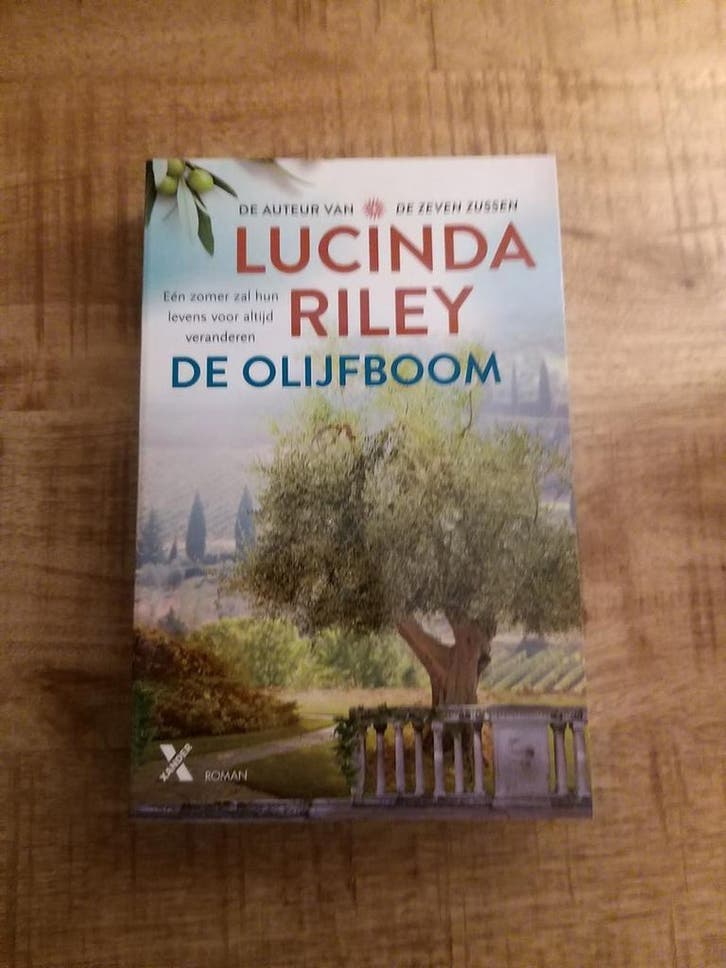 De olijfboom 9789401613651 Lucinda Riley, Boeken, Romans, Gelezen, Verzenden