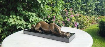 Statue, Brons-art deco-windhond-26 cm breed-gesigneerd, Antiek en Kunst