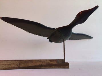 Lokeend - CANVASBACK, PORRON PALMERO - Hout