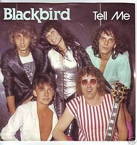 Blackbird - Tell Me, CD & DVD, Vinyles | Pop, Envoi