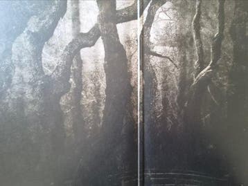 Opeth - 2LP Music On Vinyl – MOVLP084 Opeth - Blackwater
