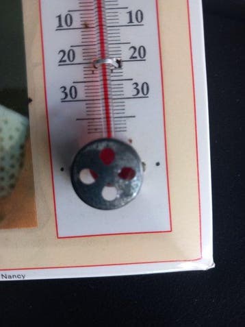 Thermometer - Aluminium - Authentiek JOHNNY HALLYDAY