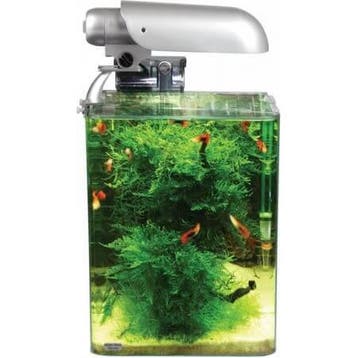 Aquatic Nature Aquarium COCOON 3 (31 L) 30x30x35H, Verzenden, Nieuw