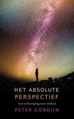 Het absolute perspectief 9789491411786 Peter Gordijn, Verzenden, Gelezen, Peter Gordijn