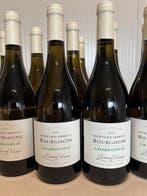 2023 Bernard Moreau, - Bourgogne Chardonnay - 12 Bouteilles, Nieuw