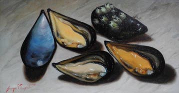Giuseppe Cacciapuoti (1969) - Cozze