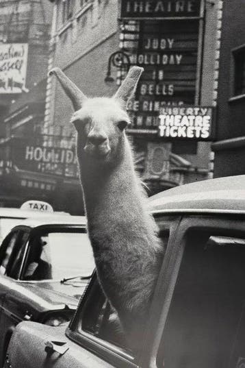 Inge Morath - Inge Morath Poster - New York City, Antiek en Kunst