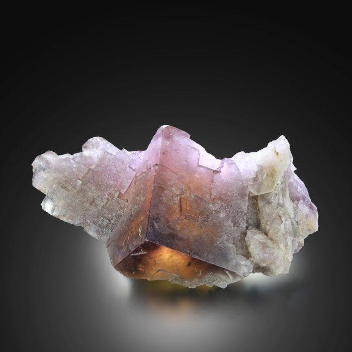 TWIN fluorescent UV.<br>Fluorite avec Phantoms, Mine, Collections, Minéraux & Fossiles