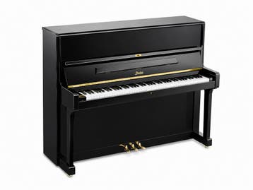 Rosler 118T (2003), Musique & Instruments, Musiques & Instruments Autre, Verzenden