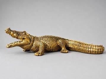 Beeld, fine finish of crocodile in naturel color - 16 cm -, Antiek en Kunst
