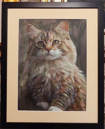 Davor Ivkovi (1965) - Cat