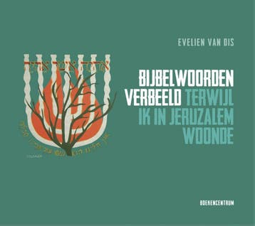 Bijbelwoorden verbeeld (9789023952213, Evelien van Dis), Verzenden, Nieuw
