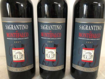 1997 Arnaldo Caprai, Sagrantino di Montefalco - Ombrie - 3, Verzamelen, Nieuw