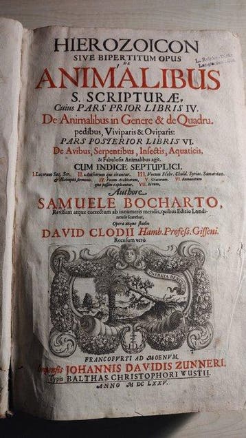 Samuel Bochart; David Clodius - Hierozoicon sive bipertitum, Antiek en Kunst