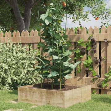 vidaXL Plantensteunen 5 st met 3 ringen 75 cm staal groen, Verzenden, Nieuw