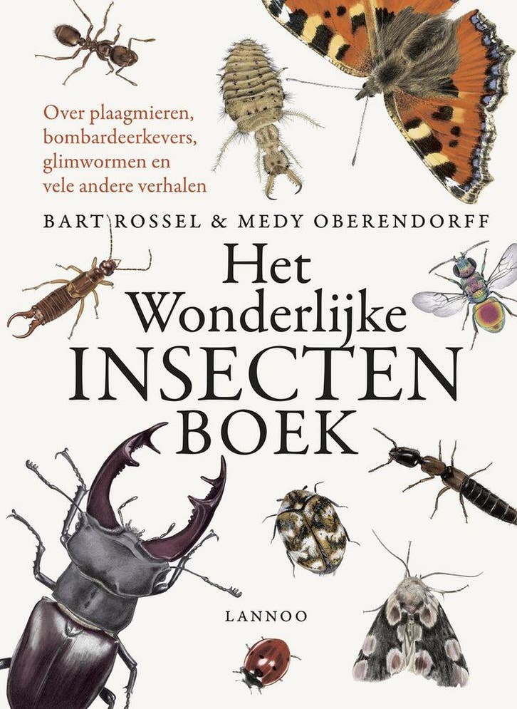 Het wonderlijke insectenboek - Bart Rossel - 9789401441261 -, Livres, Livres pour enfants | Jeunesse | Moins de 10 ans, Envoi