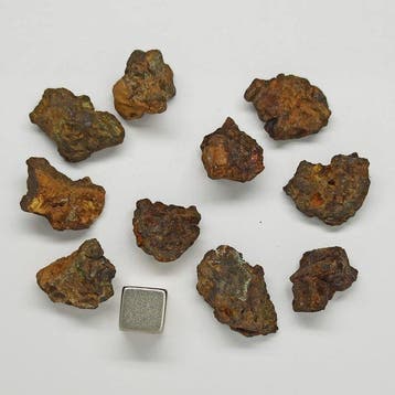 10x Partij METEORITES SERICHO!!! (Kenya, 2016) PALLASITE., Verzamelen
