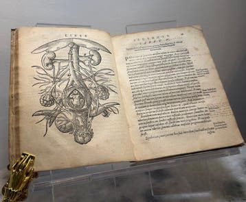 Jacob Rueff - De Conceptu Et Generatione Hominis - 1580