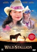 Wild stallion op DVD, CD & DVD, DVD | Aventure, Envoi