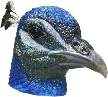 Pauw masker, Verzenden, Nieuw