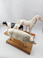 Anémomètre - Plastique - 2000-2010 - Animaux anatomiques