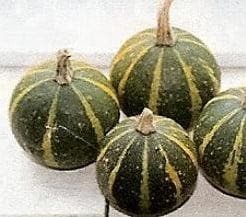 Ball Bicolor kalebas 50 zaden, Nieuw