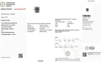 Ring - 18 karaat Witgoud - 4.60ct. tw. Toermalijn - Diamant, Nieuw