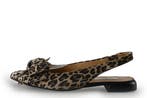 Notre-V Ballerinas in maat 39 Panter, Kleding | Dames, Schoenen, Notre-V, Overige kleuren, Verzenden, Ballerina's