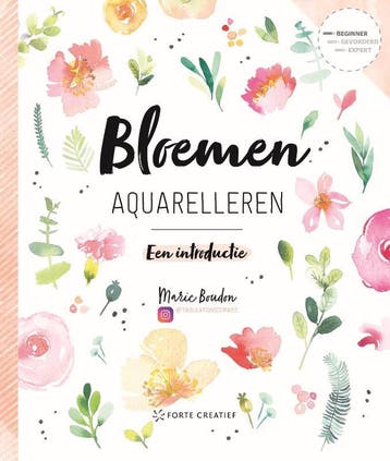 Bloemen aquarelleren 9789462502345 Marie Boudon, Livres, Verzenden, Marie Boudon