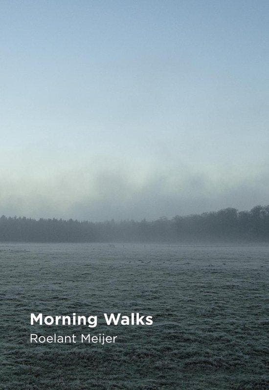 Morning Walks, Fotoboek Roelant Meijer 9789081722131, Boeken, Kunst en Cultuur | Fotografie en Design, Zo goed als nieuw, Verzenden
