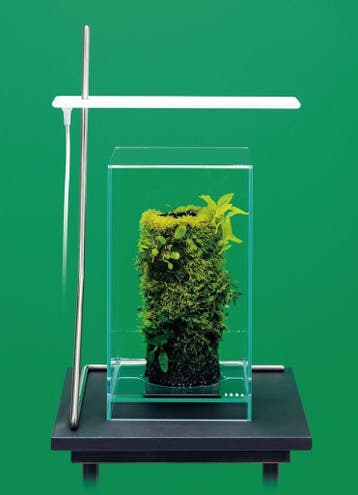 DOOA Neo Glass AIR, Dieren en Toebehoren, Verzenden, Nieuw