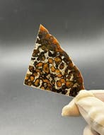Sericho meteoriet Pallasiet - 16 g - (1), Verzamelen