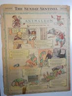 Animaldom - 10 Krantenpaginas en strips - 1907, Boeken, Nieuw
