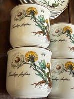 Villeroy & Boch - Koffieservies (8) - Botanica - Porselein -