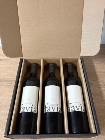 2019 Favia Coombsville Cabernet Sauvignon - Napa Valley - 3