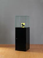 *TIP* Sokkelvitrine SV1 500 zwart met stolp en onderkast, Ophalen of Verzenden