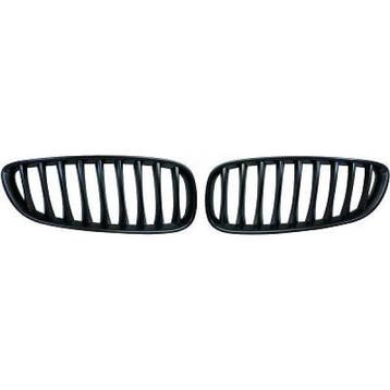 Glans Zwarte Nieren (Grillen) BMW Z4 E89 B5766, Auto-onderdelen, Nieuw, Voor, BMW