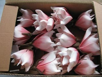 Magnolia Soft Roze Foambloem Kort doos 12 stuks, Huis en Inrichting, Nieuw