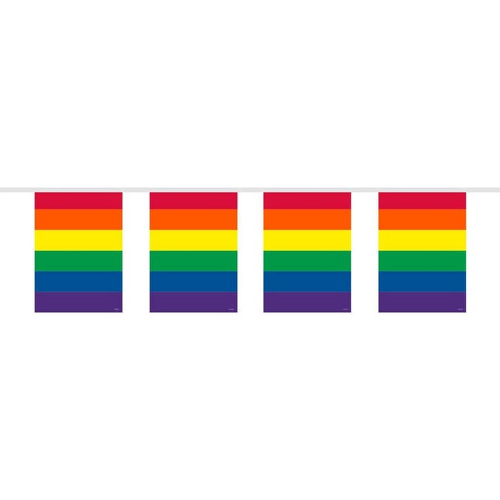 Regenboog Vlaggenlijn 10m, Hobby en Vrije tijd, Feestartikelen, Nieuw, Verzenden