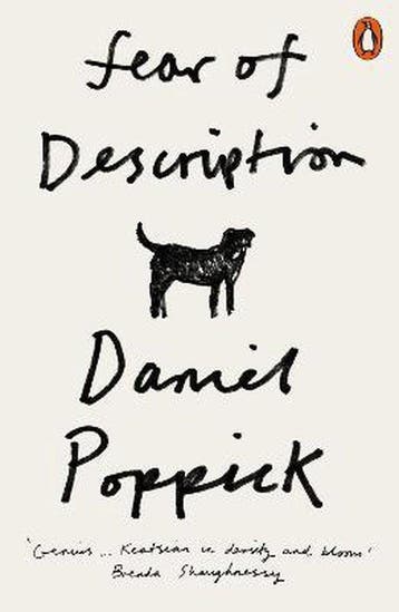 Fear of Description 9780141992679 Daniel Poppick, Verzenden, Daniel Poppick