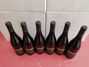 2024 Elena Walch Pinot Nero - Trentino Alto Adige - 6, Nieuw